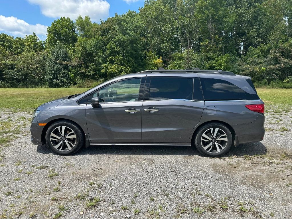 2019 Honda Odyssey Elite's photo
